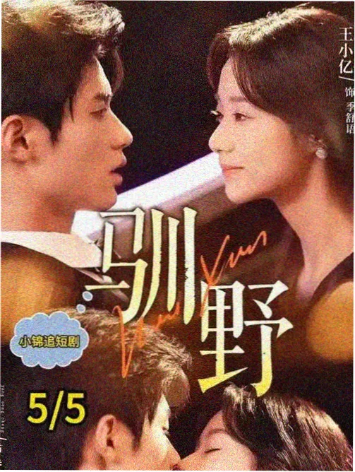 午后三点的访客剧集海报